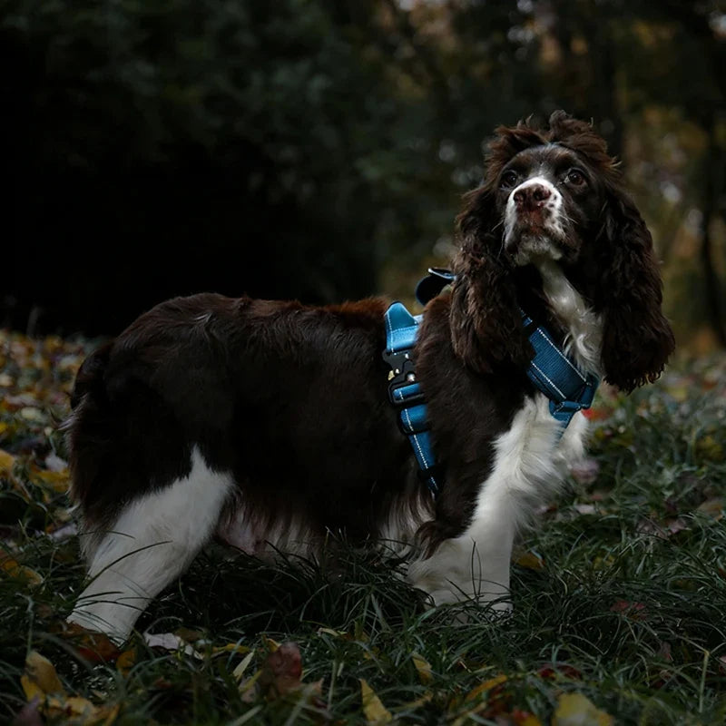Y-Shaped No-Pull Dog Harness with Leather Handle — Soft Padded, Metal Buckles & Adjustable Fit