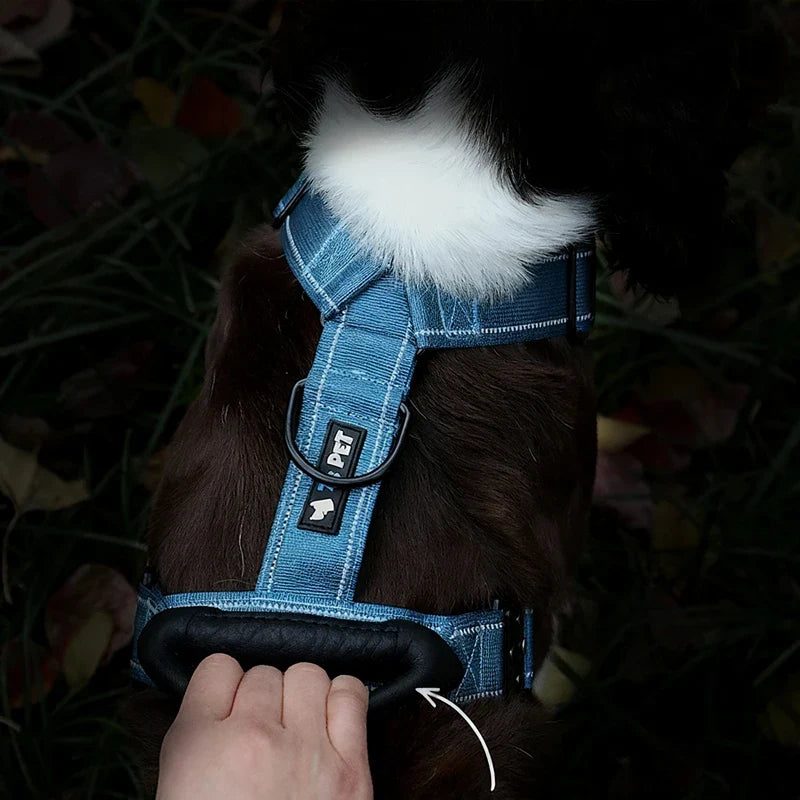 Y-Shaped No-Pull Dog Harness with Leather Handle — Soft Padded, Metal Buckles & Adjustable Fit