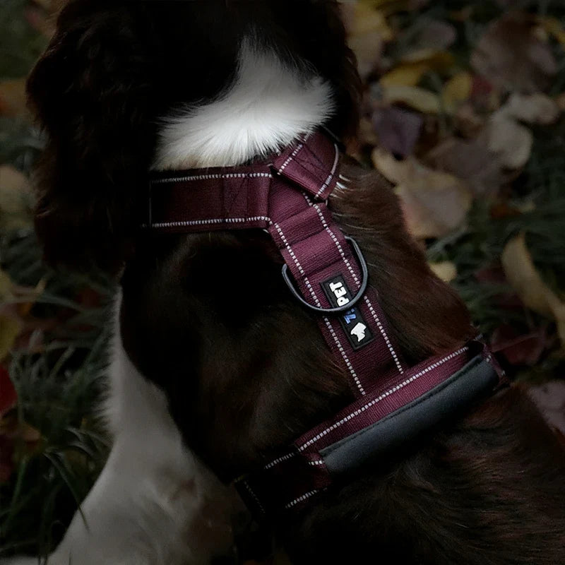 Y-Shaped No-Pull Dog Harness with Leather Handle — Soft Padded, Metal Buckles & Adjustable Fit