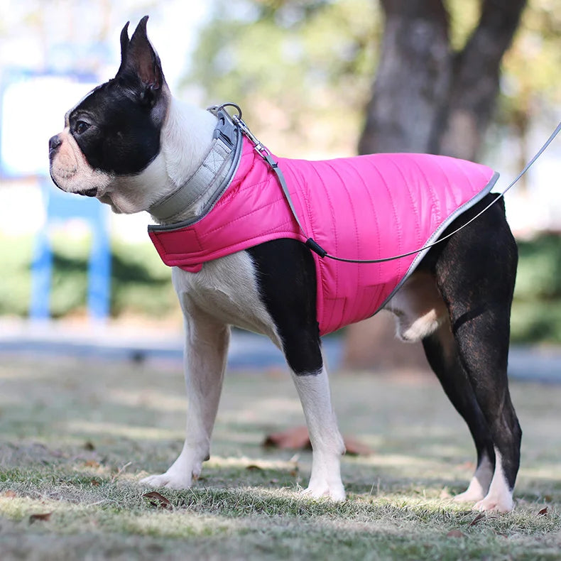 Reversible Waterproof Winter Down Jacket for Small & Medium Dogs