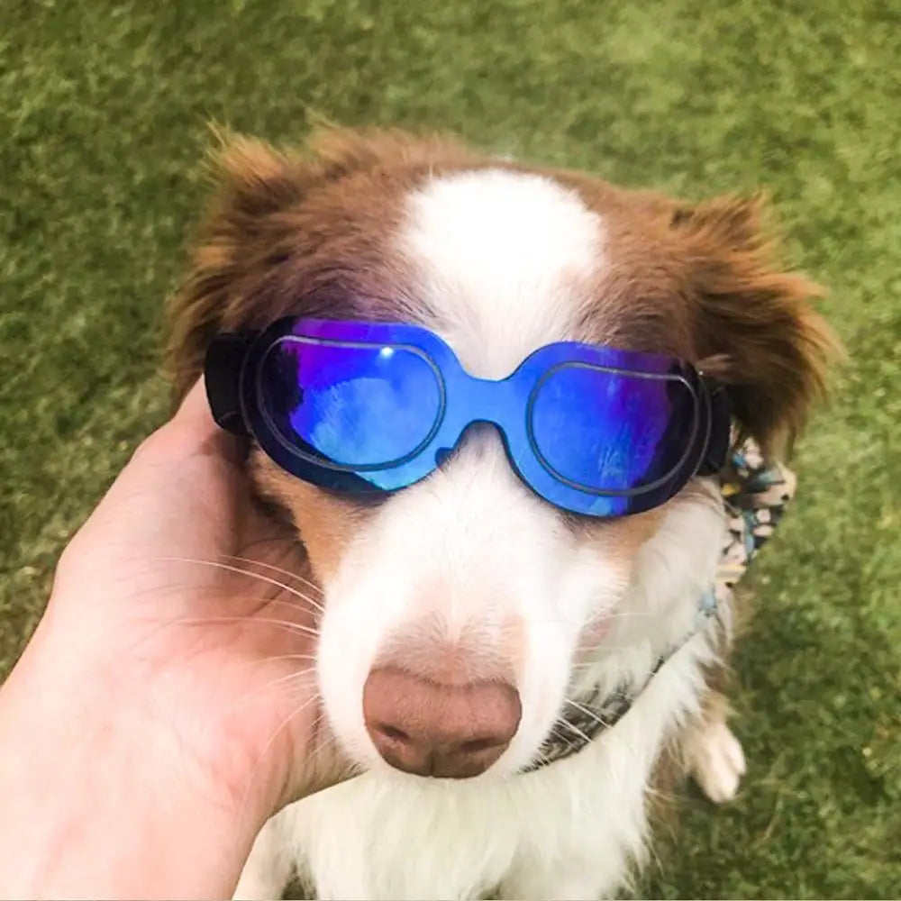 Adjustable Dog Sunglasses & Goggles