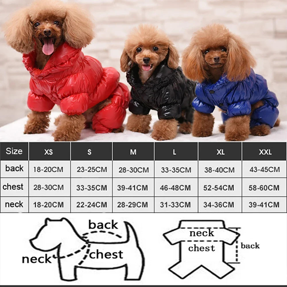 Waterproof Winter Down Jacket for Small Dogs