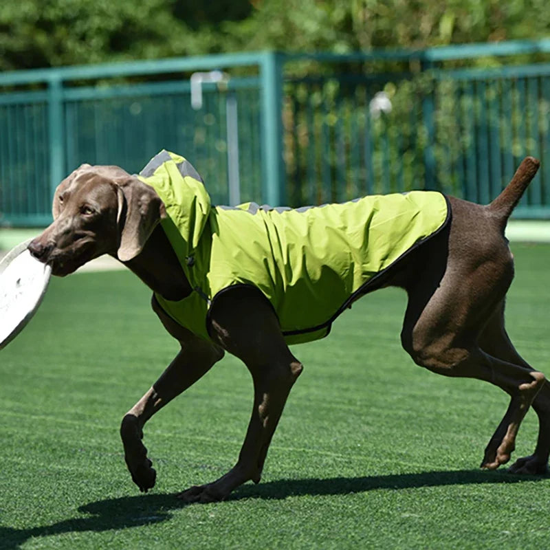 Reflective Waterproof Dog Raincoat Jacket
