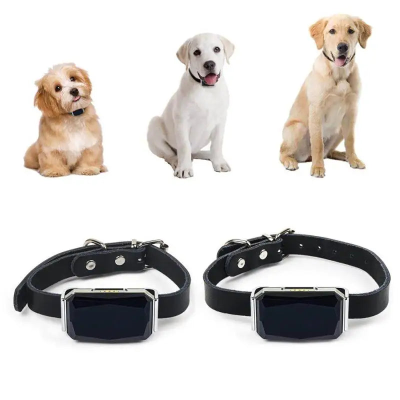 IP67 Multi-Mode GPS Tracker for Pets & Kids — Geofence, SOS & Two-Way Call