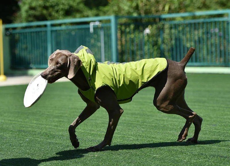 Reflective Waterproof Dog Raincoat Jacket