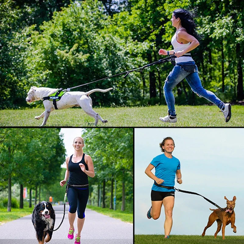 Hands-Free Running Dog Leash Set with Waist Bag & Reflective Belt