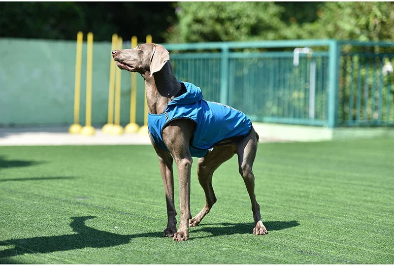 Reflective Waterproof Dog Raincoat Jacket