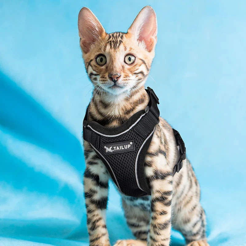 Breathable Escape-Proof Pet Harness Vest with Reflective Strips