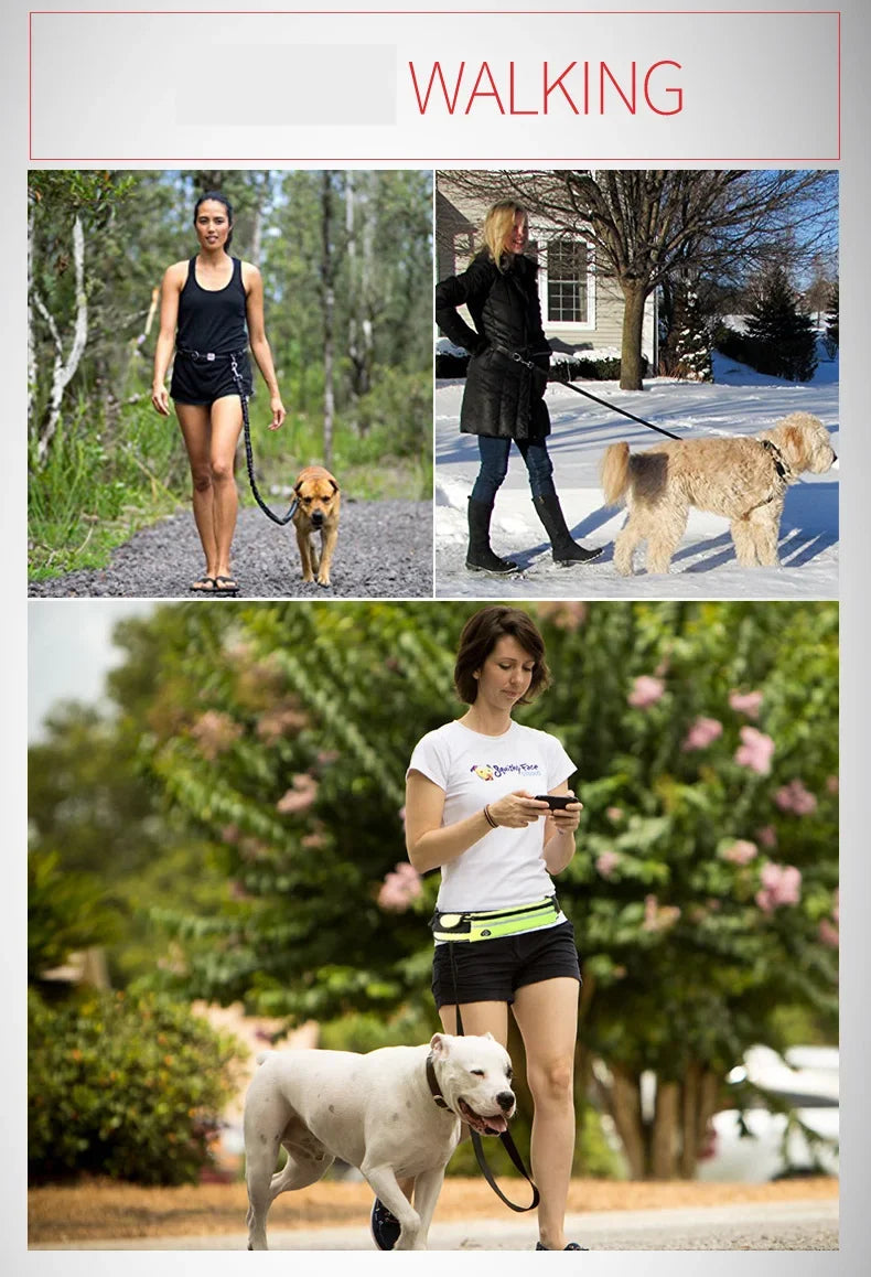 Hands-Free Running Dog Leash Set with Waist Bag & Reflective Belt