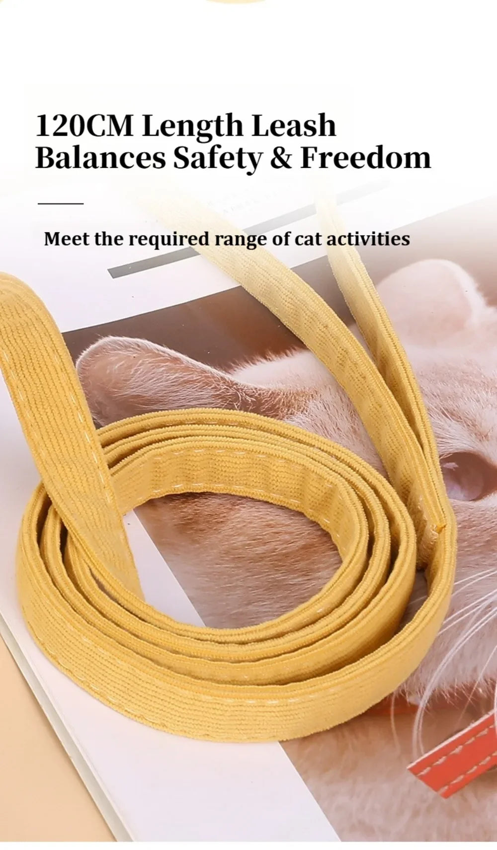 Escape-Proof Soft Mesh Cat Harness & Leash Set | Adjustable Padded Vest for Kittens, Small, Medium & Large Cats
