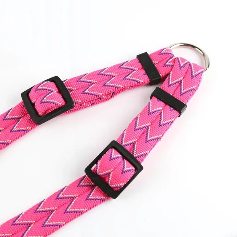 Dual Pet Leash for Two Dogs or Cats - V-Shape Twin Lead