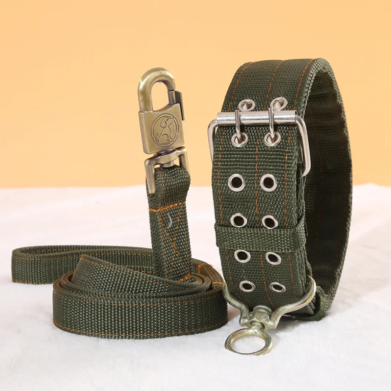 Heavy Duty Nylon Dog Leash & Collar Set