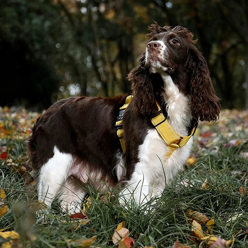 Y-Shaped No-Pull Dog Harness with Leather Handle — Soft Padded, Metal Buckles & Adjustable Fit