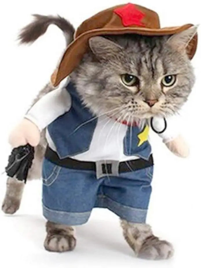 Western Cowboy Pet Costume
