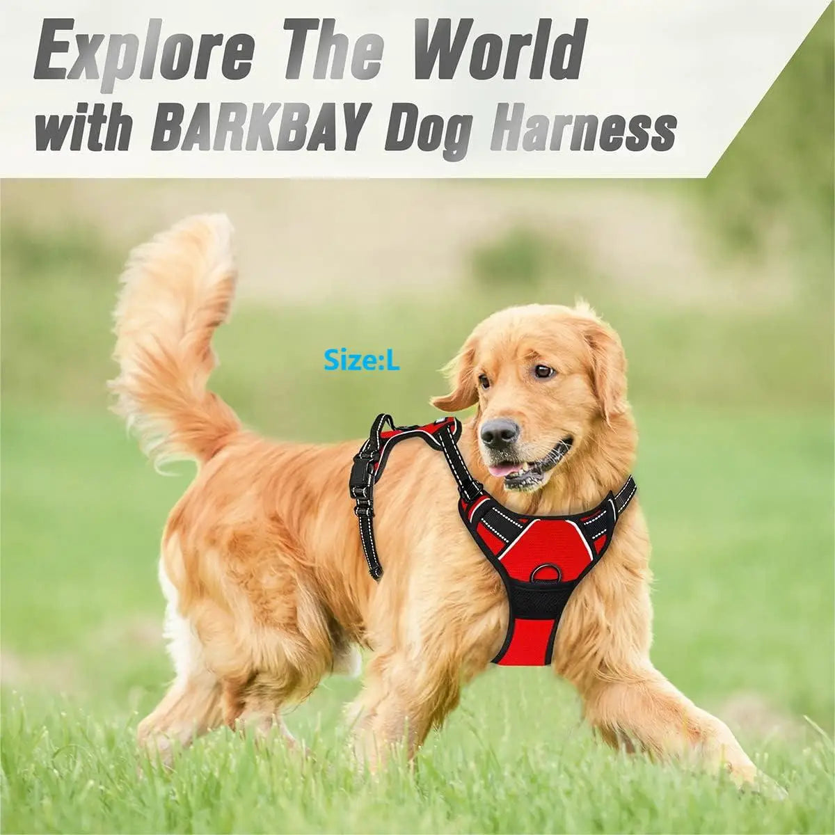 No-Pull Dog Harness with Front Clip & Handle | Heavy Duty Reflective Vest for Easy Walking