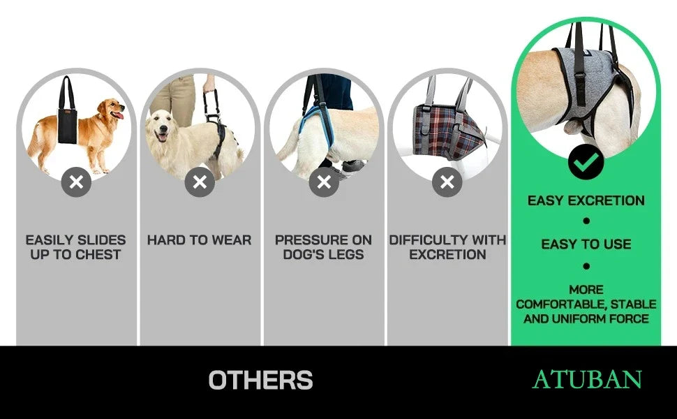 Rear Support Dog Lift Harness for Elderly, Injured & Arthritic Dogs