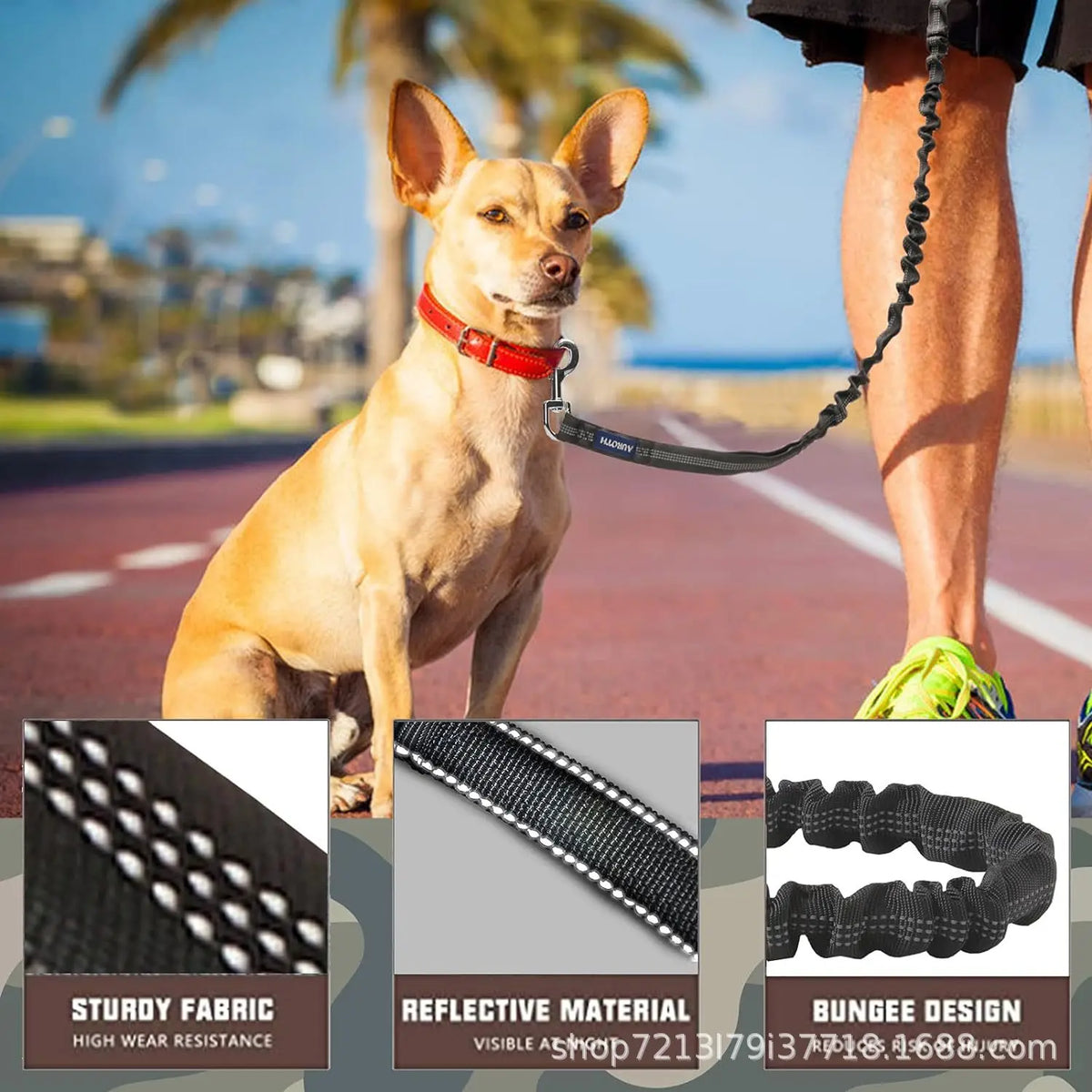 Elastic Shock Absorbing Dog Training Leash