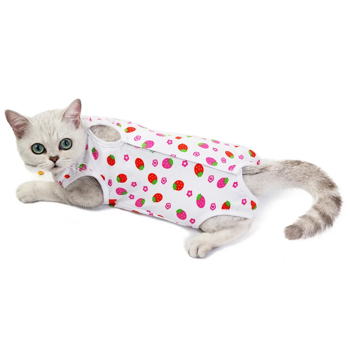 Post-Surgery Recovery Jumpsuit for Cats & Small Dogs