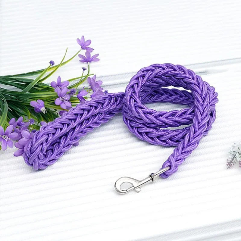 Heavy-Duty Nylon Dog Lead (130cm)