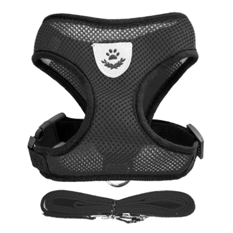 Adjustable Small Dog Harness and Leash Set - Breathable Vest