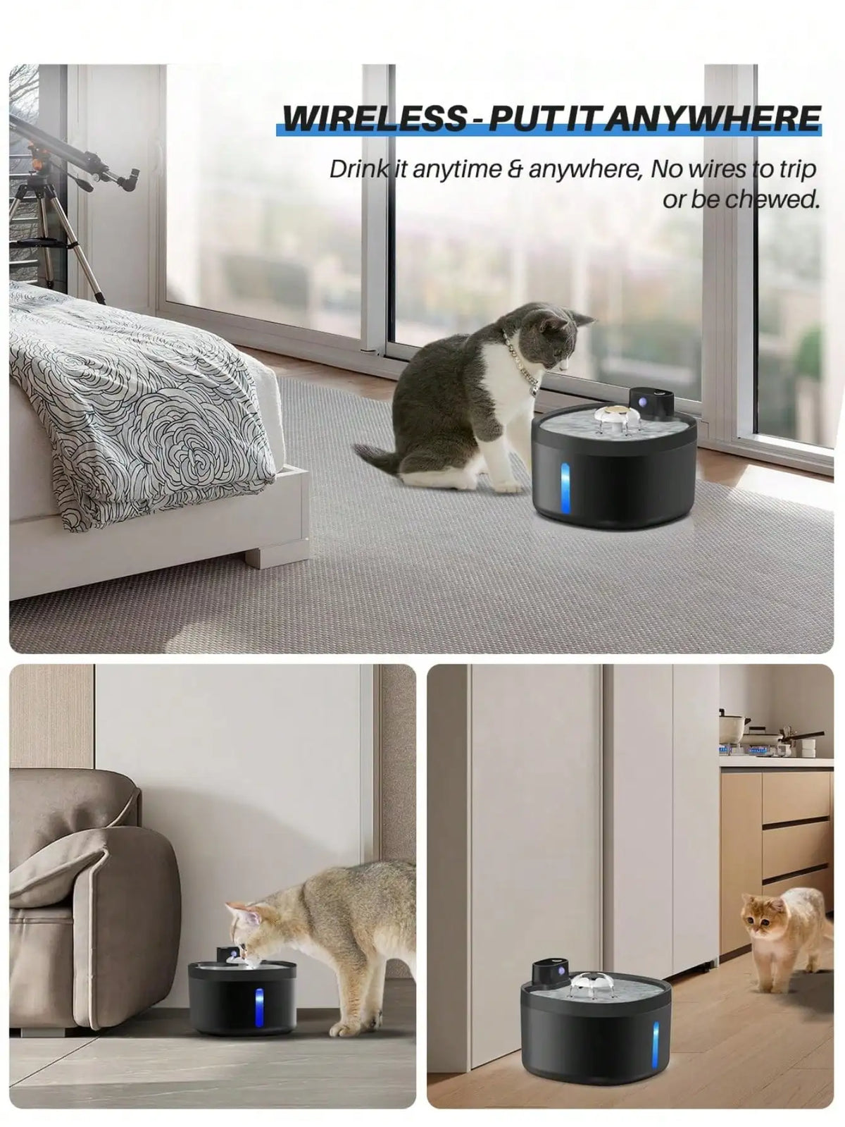 Cordless Automatic Pet Water Fountain — 2.6L with Sensor Dispensing