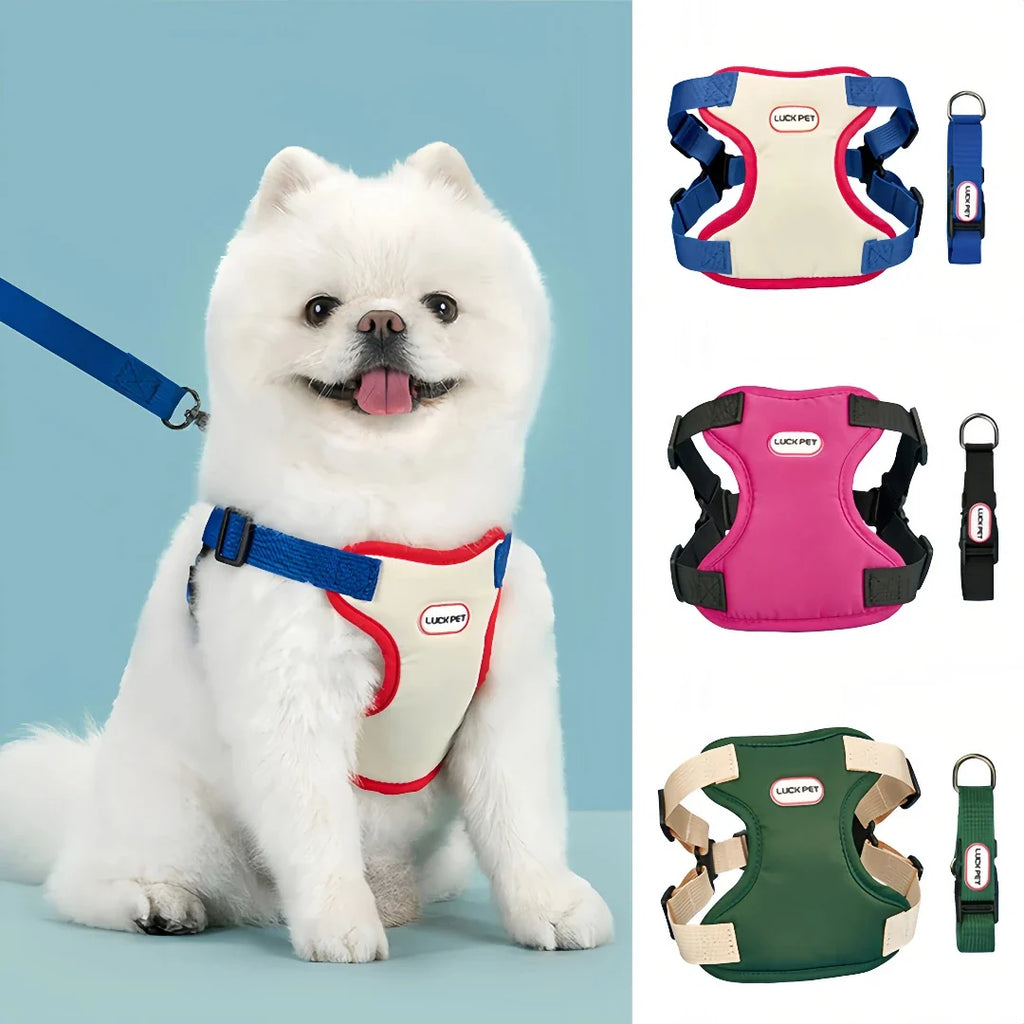 Breathable Vest Harness & Leash Set for Small Dogs