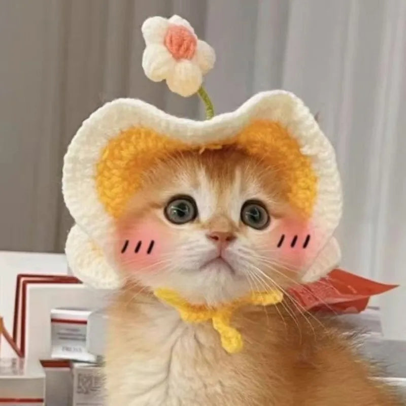 Knitted Hat & Scarf Costume Set for Cats