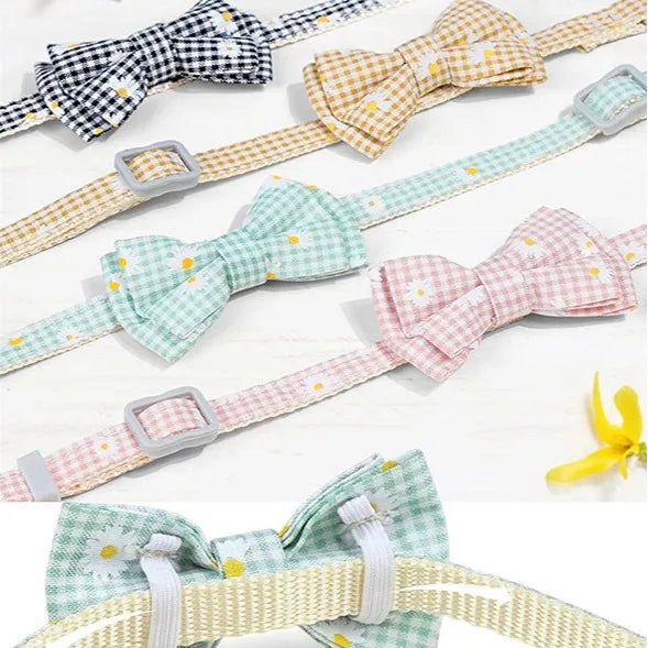Breakaway Cat Collar with AirTag Holder & Bell