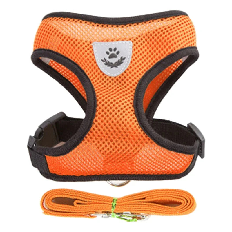 Adjustable Small Dog Harness and Leash Set - Breathable Vest