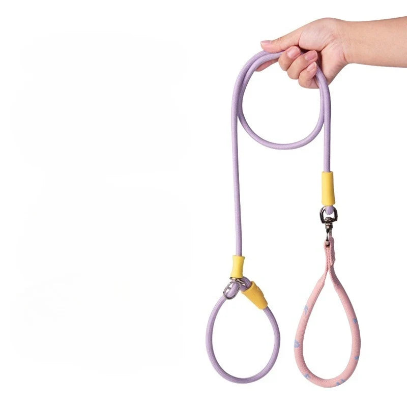 Nylon P-Chain Slip Lead & Collar for Small Dogs