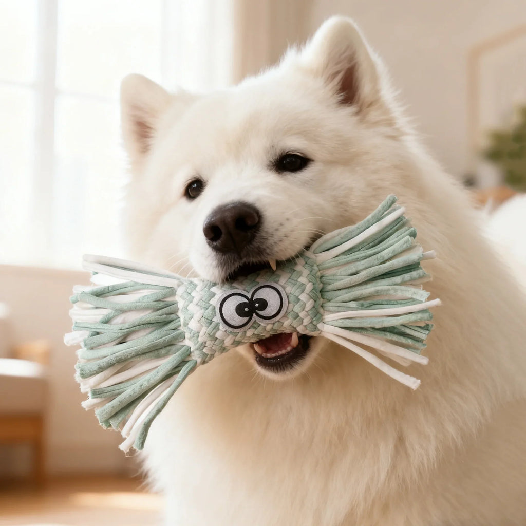 Squeaky Plush Dog Chew Toy for Large Dogs