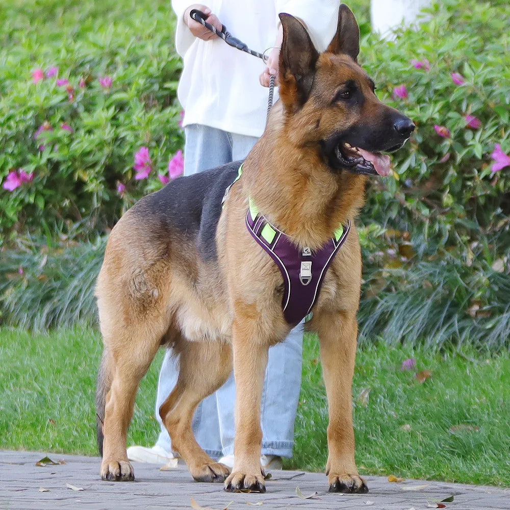 3M Reflective Padded Dog Harness Vest