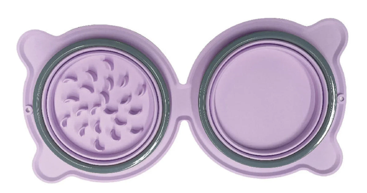Foldable Silicone Travel Bowl for Dogs & Cats