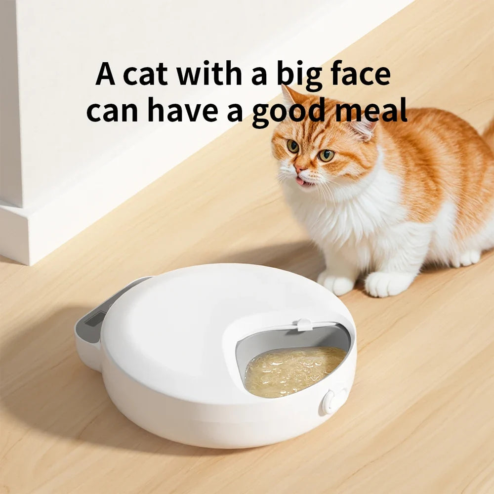 Automatic 4-Meal Pet Feeder with Freshness Control - Slow Feeding Bowl