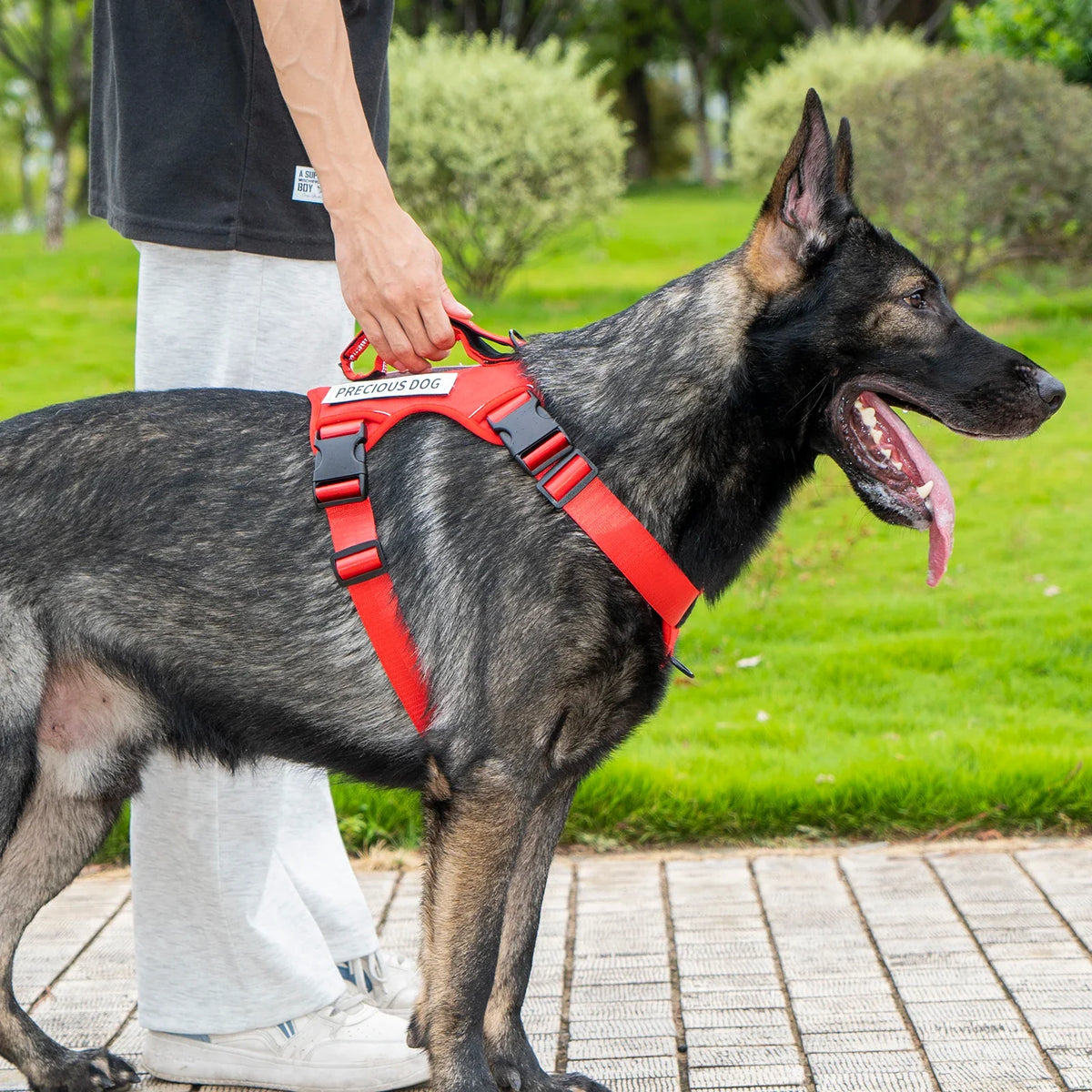 Reflective Emotional Support Dog Vest Harness with Handle & Lead — Easy On/Off for Large Dogs