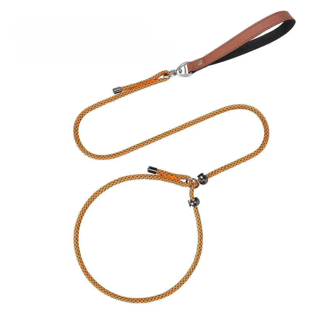 Anti-Tangle Adjustable P-Chain Slip Lead for Small Dogs