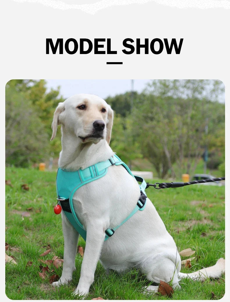 No-Pull Dog Harness with AirTag Holder, Handle & Front Clip — Reflective Padded Vest for Walking & Training