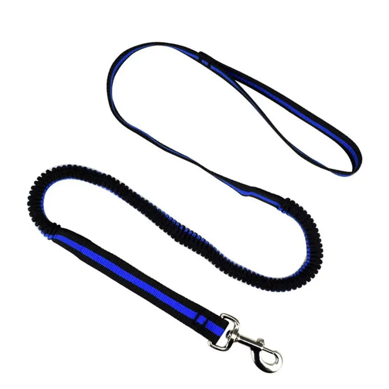 Elastic Anti-Pull Pet Lead (190cm)