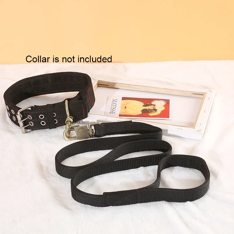 Heavy Duty Nylon Dog Leash & Collar Set
