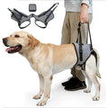 Rear Support Dog Lift Harness for Elderly, Injured & Arthritic Dogs