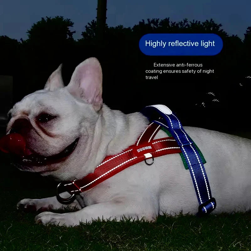 Saddle-Style Padded Dog Harness Vest