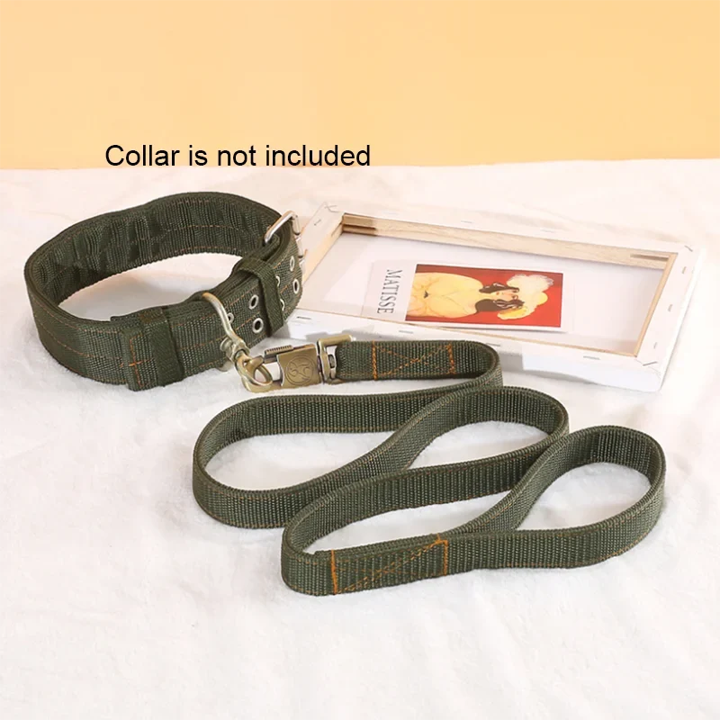 Heavy Duty Nylon Dog Leash & Collar Set