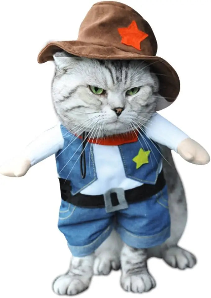 Western Cowboy Pet Costume