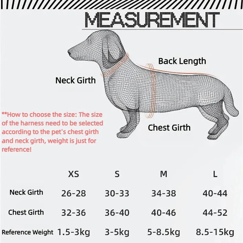 Reflective Adjustable Harness & Leash Set for Small & Medium Dogs & Cats