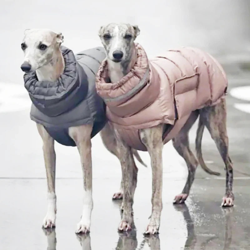 Windproof Winter Down Vest for Small Dogs