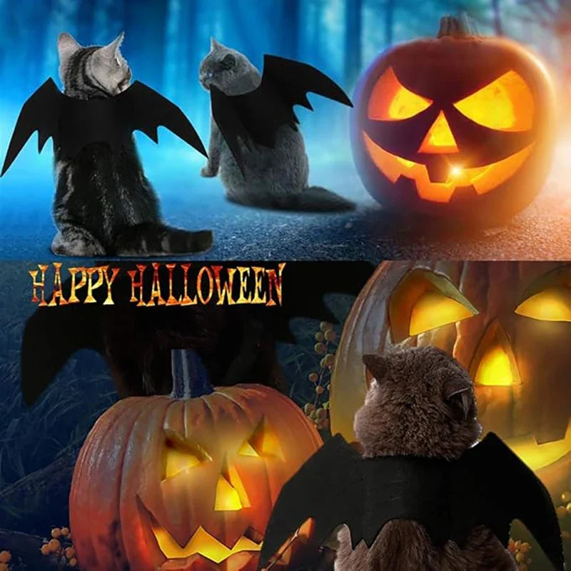 Halloween Bat Wings Costume for Dogs & Cats — Collar Lead & Cosplay Dress-Up Accessories