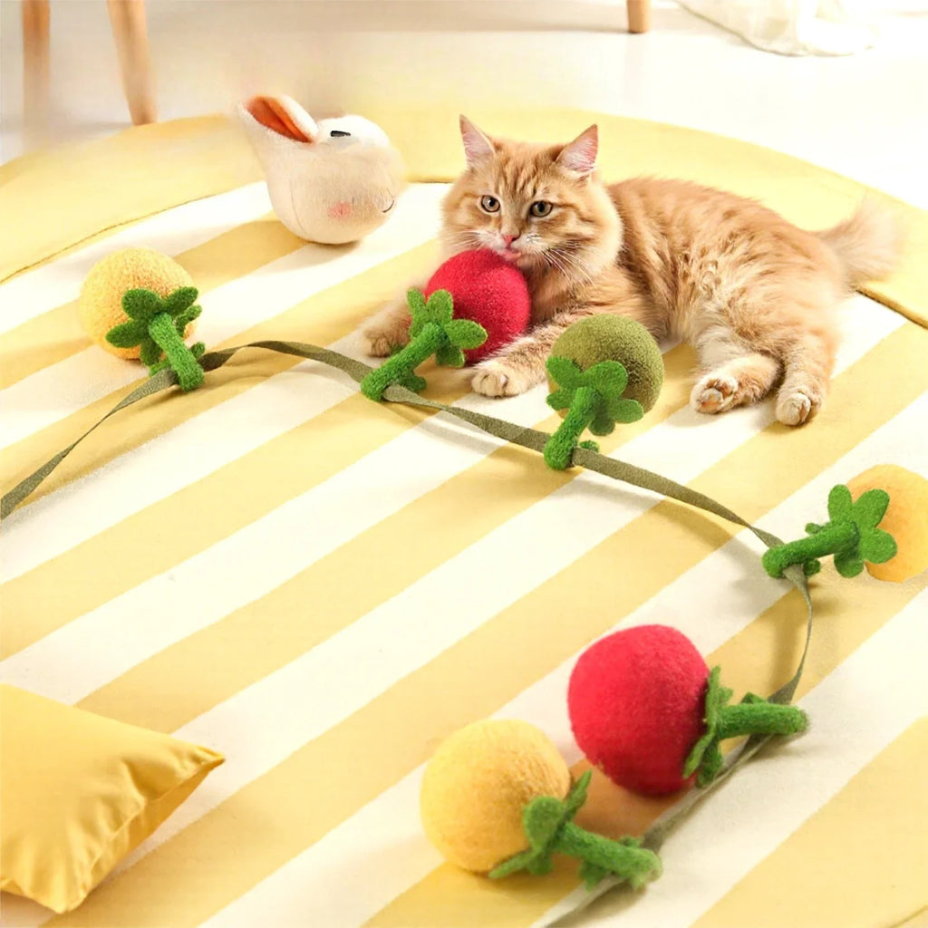 Tomato & Persimmon Teaser Wand Cat Toy with Bell
