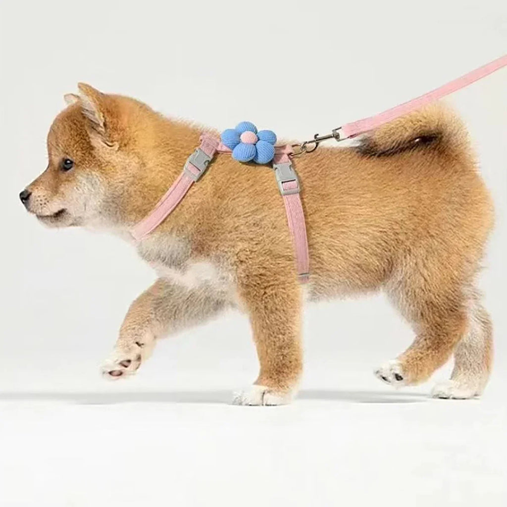 Breathable Adjustable Harness & Leash Set for Cats and Small Dogs