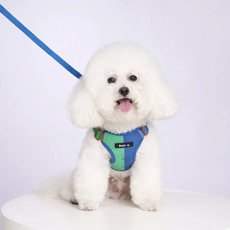Reflective Adjustable Harness & Leash Set for Small & Medium Dogs & Cats