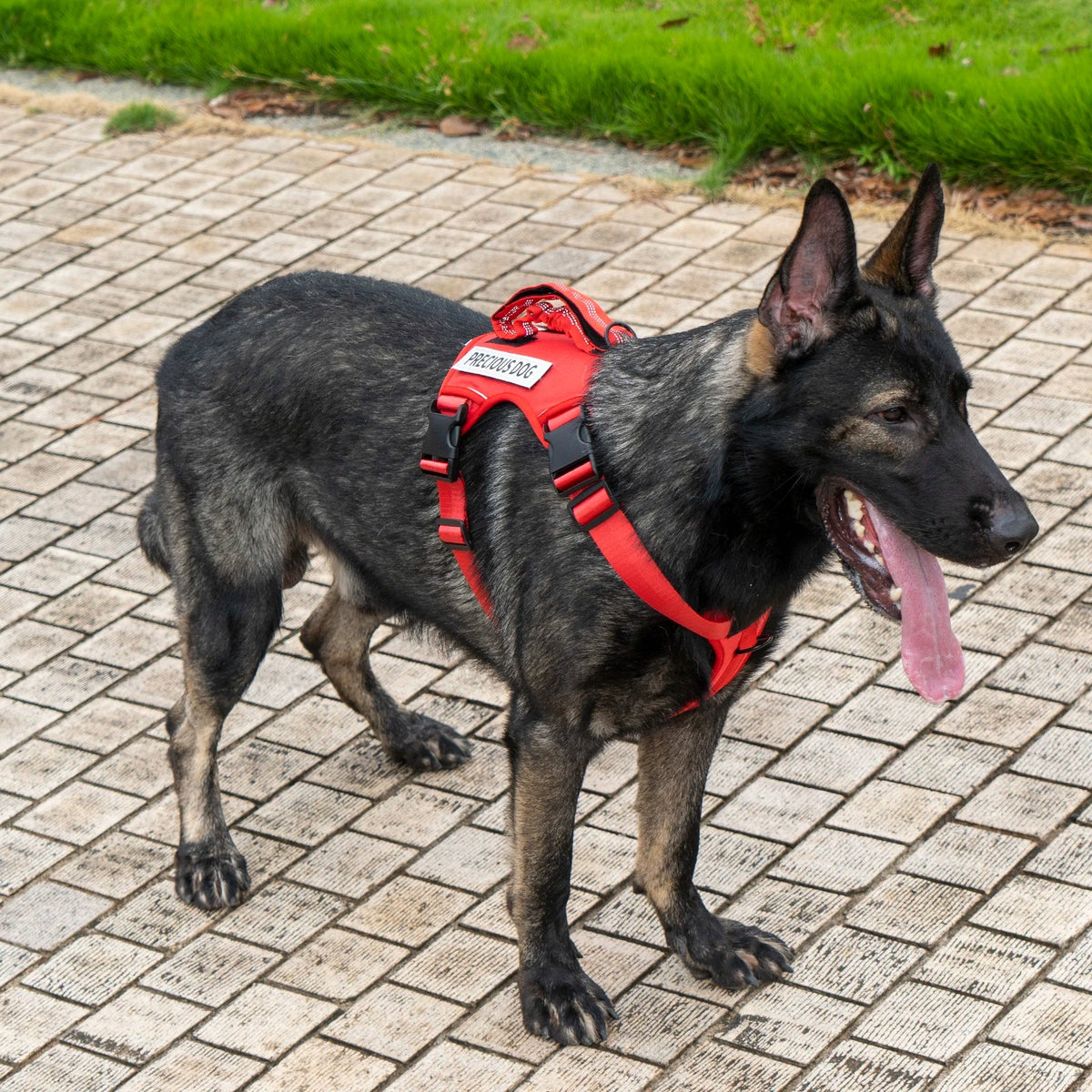 Reflective Emotional Support Dog Vest Harness with Handle & Lead — Easy On/Off for Large Dogs